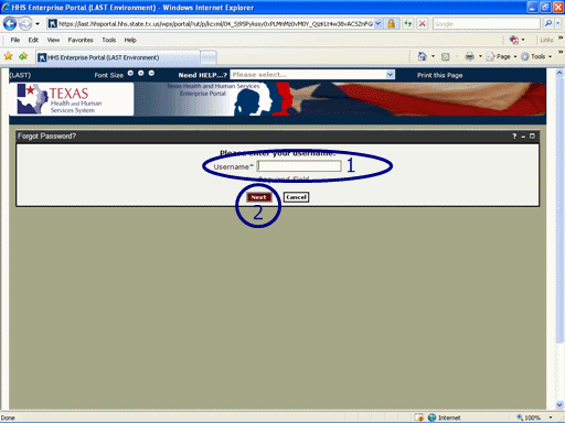 Screen shot of Enter Username Page